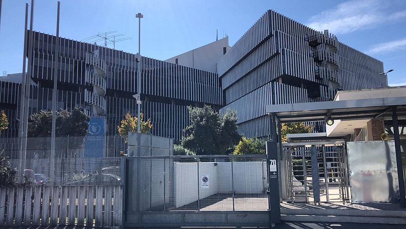 14 horas - El Programa Mundial de Alimentos de la ONU, Premio Nobel de la Paz 2020 - Escuchar ahora