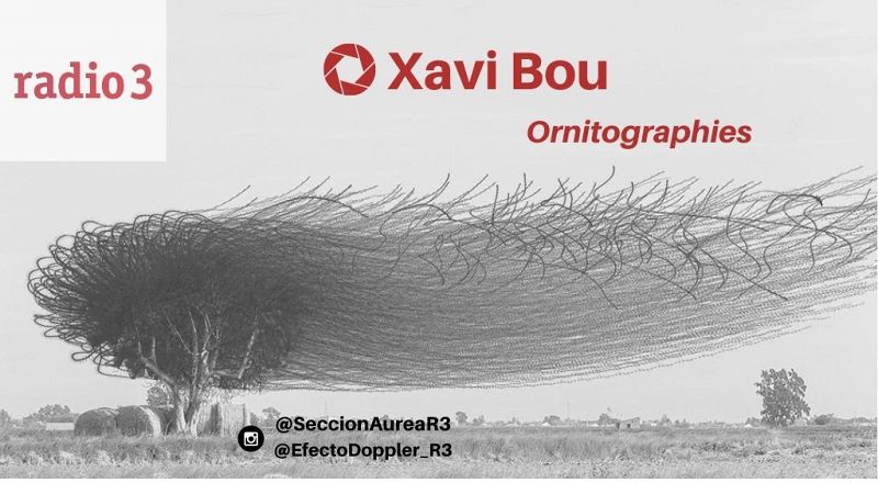 Sección Áurea - Xavi Bou - Escuchar ahora