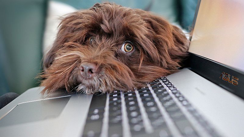 Con bata blanca - Teletrabajar es sano, si sabes cómo - 30/10/20 - Escuchar ahora