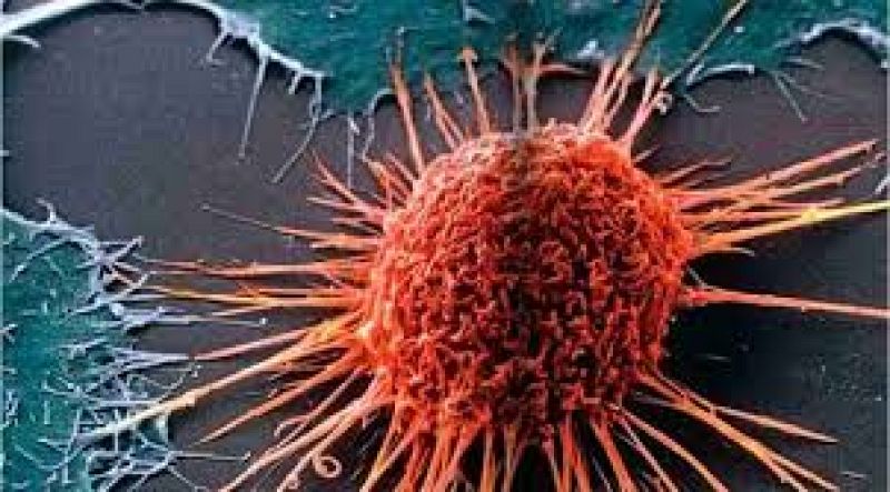 Entrevista investigación cáncer - 27/10/20 - Escuchar ahora