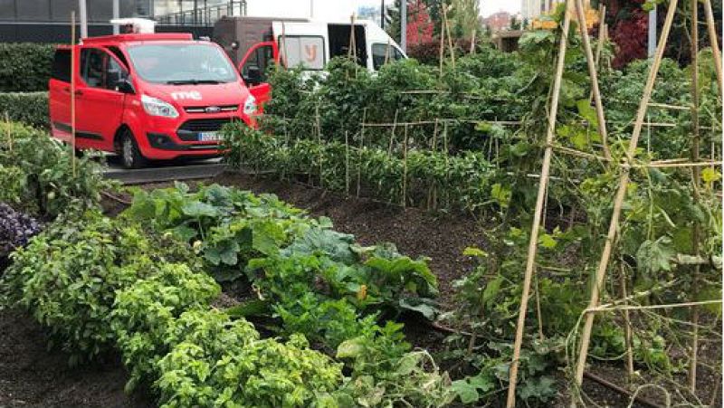 Más cerca - HuertApp; tecnología para la inclusión - Escuchar ahora