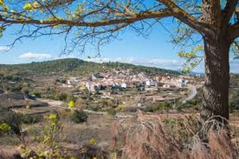 Reportaje Reviu Castellón - 09/11/20 - Escuchar ahora