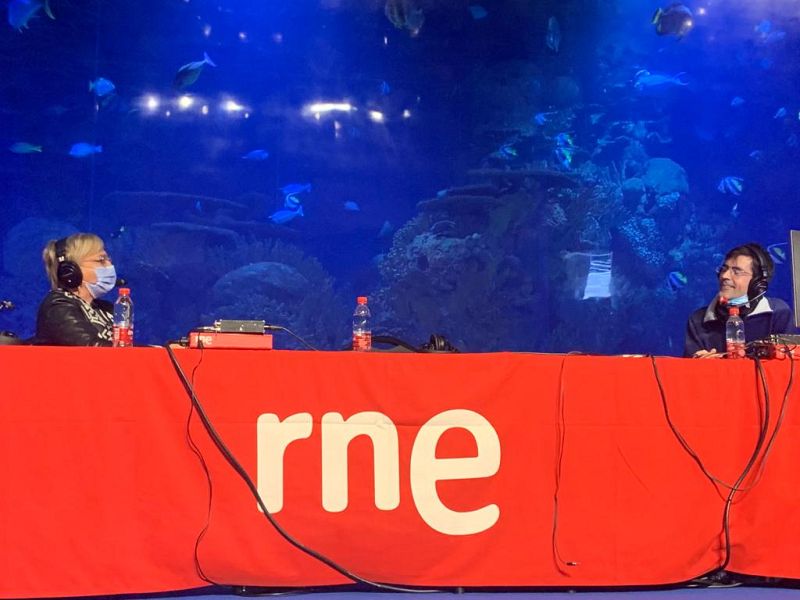 Entrevista Consellera de Sanidad - 13/11/20 - Escuchar ahora