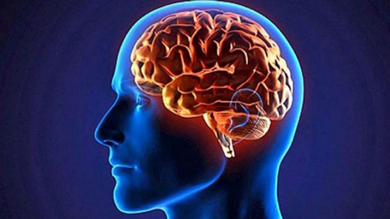 Por tres razones - ¿Qué tenía el cerebro de Einstein que lo hacía especial? - 16/11/20 - escuchar ahora