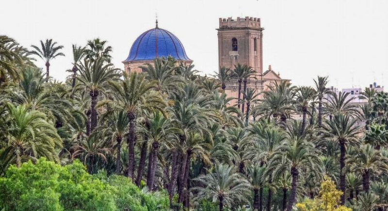 Reportaje aniversario palmeral Elche - 01/12/20 - Escuchar ahora