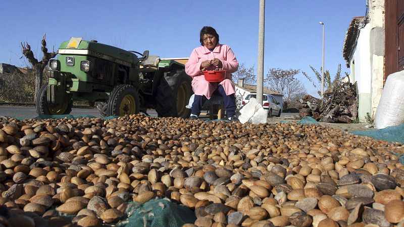 14 horas - Los inmigrantes rejuvenecen la España rural y realizan los trabajos más precarios