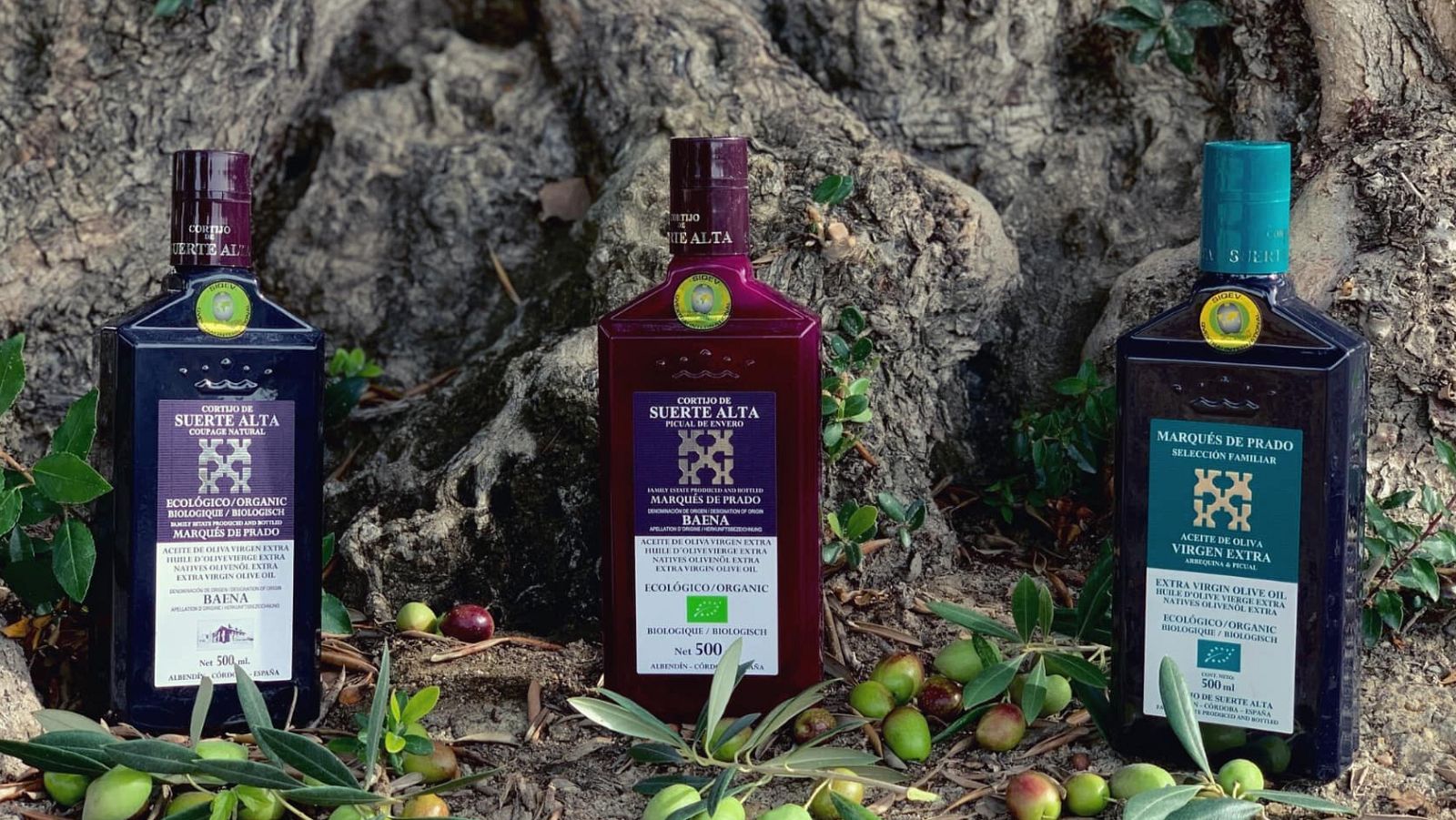 En clave Turismo - Premios Alimentos de España. El país más rico del mundo - 11/12/20 - escuchar ahora