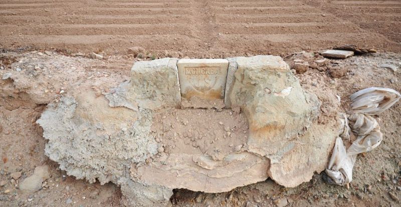 Entrevista exposición IVAM Com soliem - 16/12/20 - Escuchar ahora