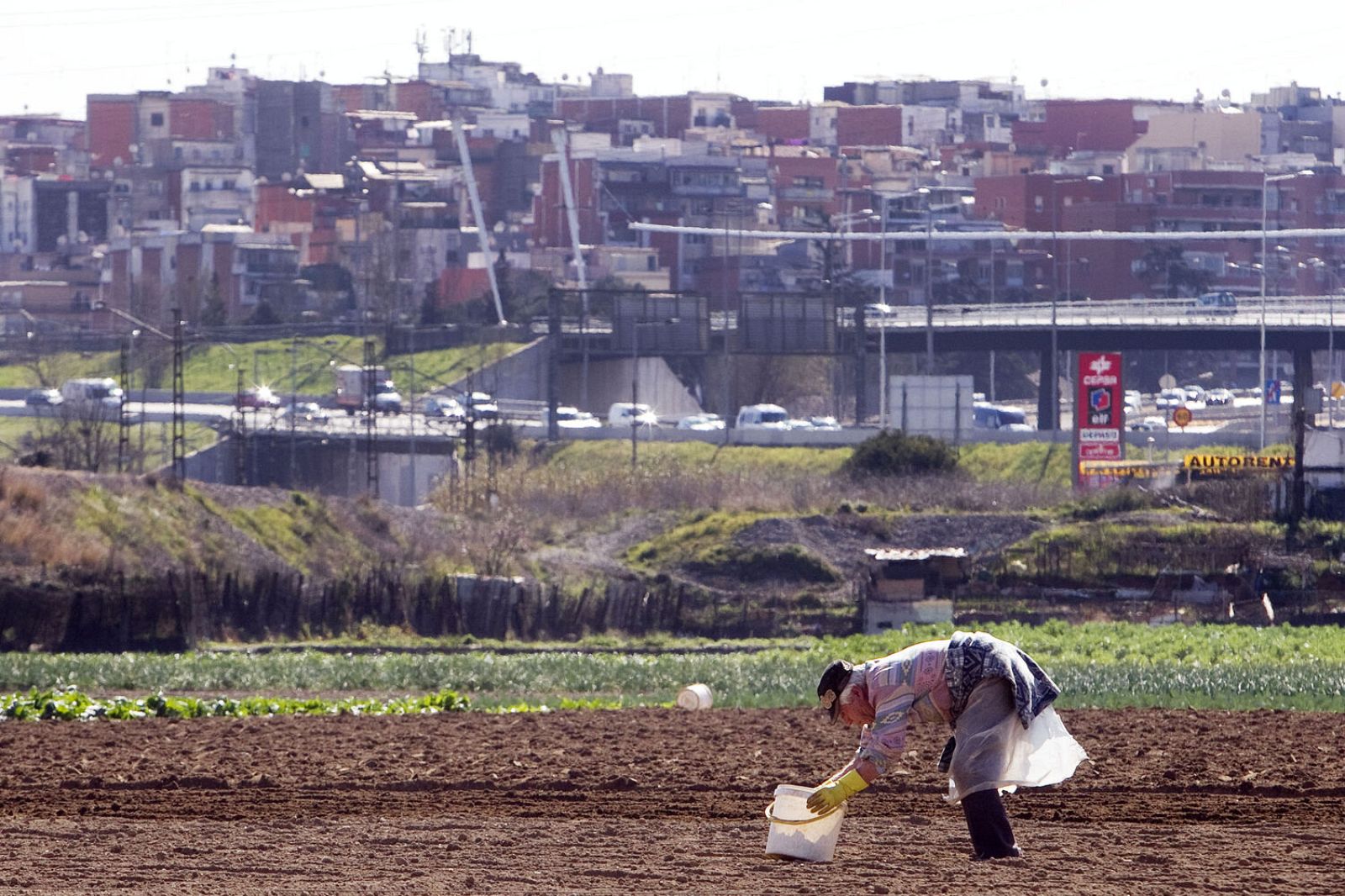 En Directe a Ràdio 4/Vida Verda 17/12/20