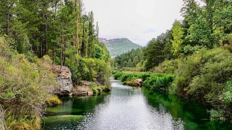 No es un día cualquiera - Barreras artificiales - Patricia Fernández de Lis - 'Planeta 2050' - 19/12/2020