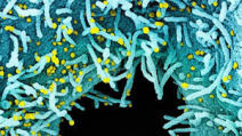 Entrevista Iñaki Comas nueva cepa - 21/12/20 - Escuchar ahora