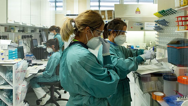 14 horas - Expertos aseguran que no existe "ninguna evidencia científica" que apunte que la nueva cepa de COVID-19 sea más peligrosa