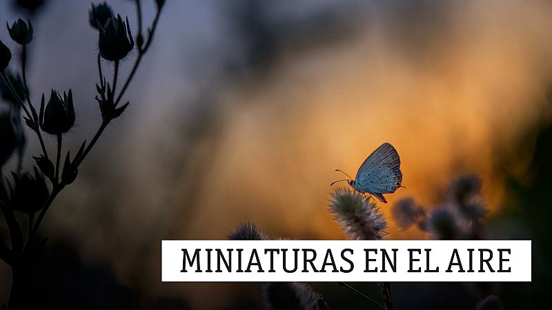 Miniaturas en el aire - Sibelius y Umbral dialogan esta noche - 22/12/20