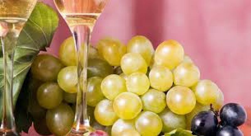 Reportaje Uva embolsada Vinalopo - 31/12/20 - Escuchar ahora