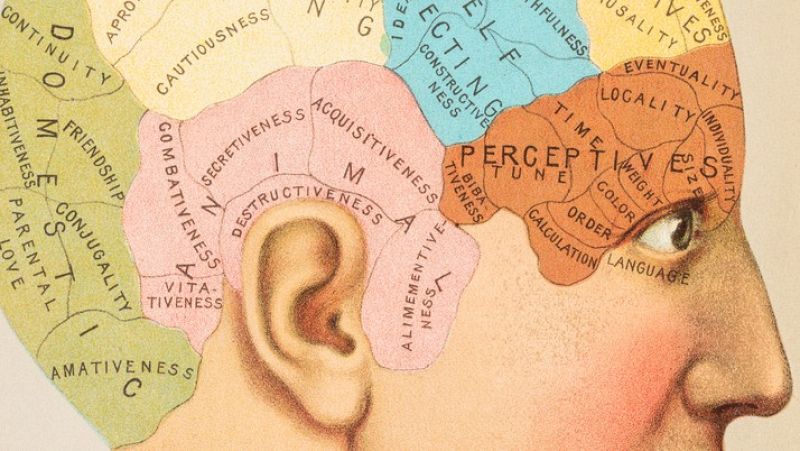 Longitud de onda - Haydn, decapitado por la frenología - 20/01/21