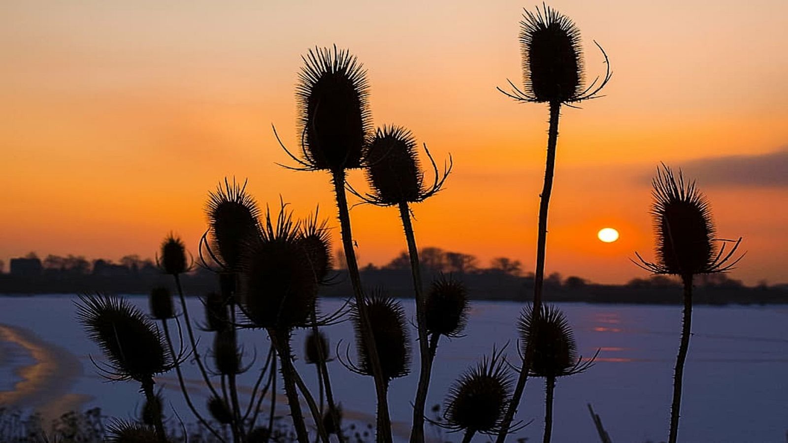 Esto me cuentan -  Un cuento cosaco - Escuchar ahora