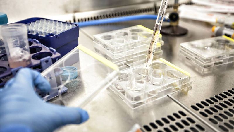 14 horas - La investigación contra el cáncer se recupera lentamente tras el parón por la pandemia - Escuchar ahora