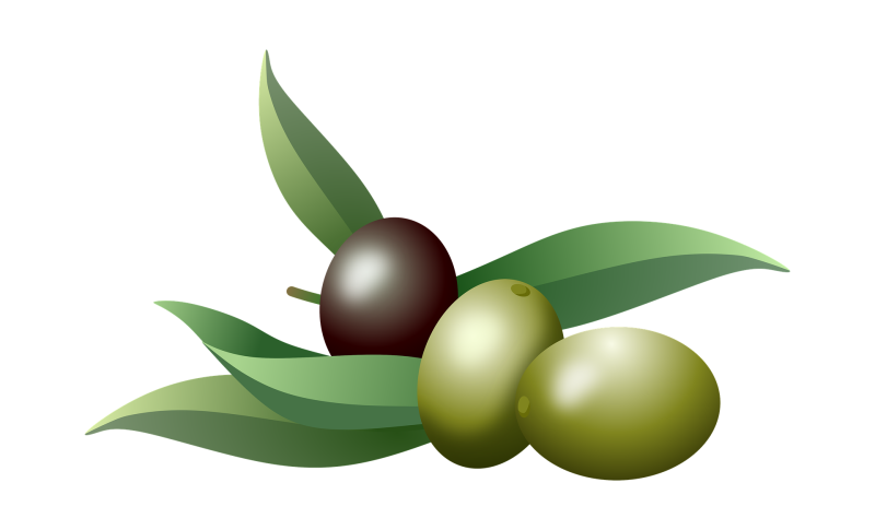 Mundo rural - Aceite de oliva - 12/02/21 - Escuchar ahora