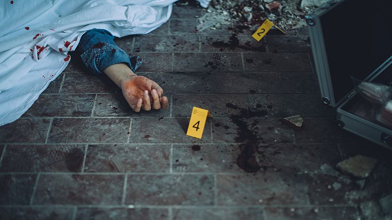 Las mañanas de RNE con Pepa Fernández - La fascinación del mal según Vicente Garrido - Escuchar ahora