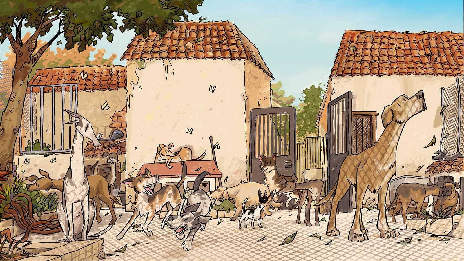 Viñetas y bocadillos - José Fonollosa 'Refugio' - 15/02/21 - Escuchar ahora