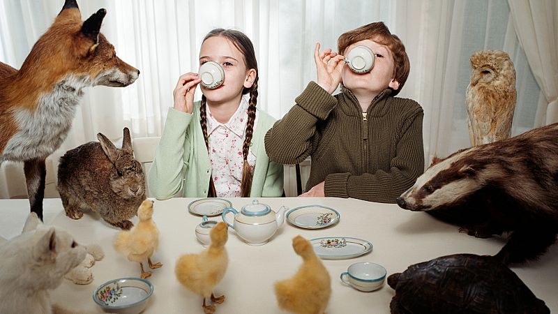 La estación azul de los niños - Bichos y bailes - 20/02/21 - escuchar ahora