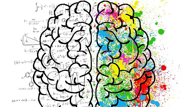 De vuelta - Salud Sapiens. Salud y cerebro - 21/02/21 - Escuchar ahora