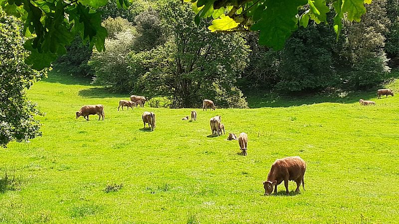 Por tres razones - "Aprender a ser pastora, empresaria del siglo XXI"