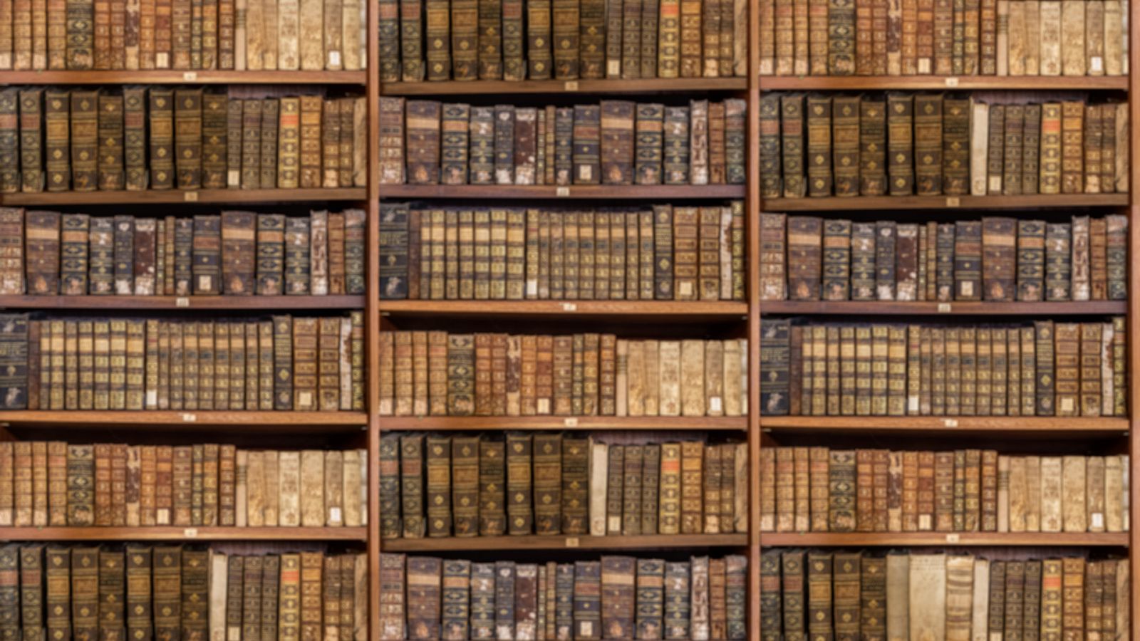 Un idioma sin fronteras - Comun-es y Palabrísimas - 27/02/21 - escuchar ahora