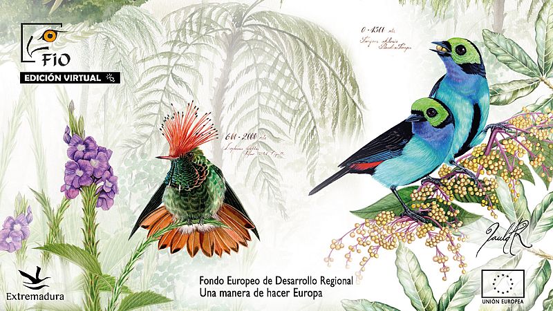 Escapadas - FIO 2021 - 26/02/21