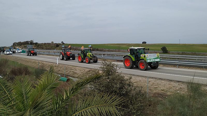 Ms cerca - Tractorada en defensa del cultivo del tabaco en Extremadura - Escuchar ahora