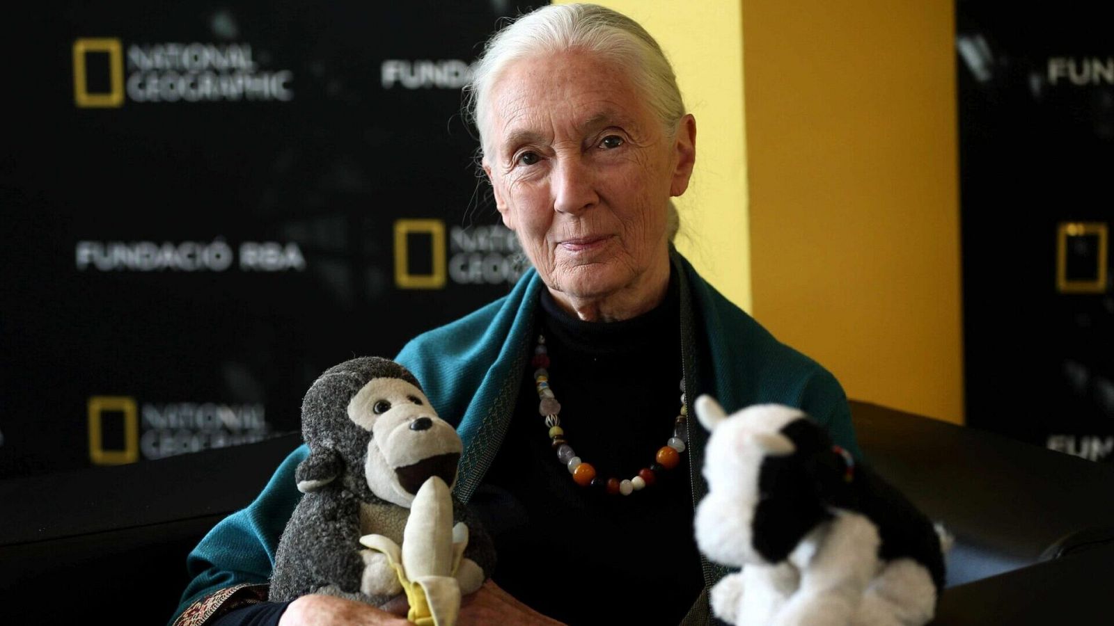 Por tres razones - El proyecto "Raíces y brotes" de Jane Goodall en España - Escuchar ahora