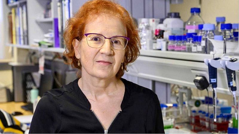 El gallo que no cesa - Femenino singular: Hoy con la viróloga Margarita del Val - Escuchar ahora