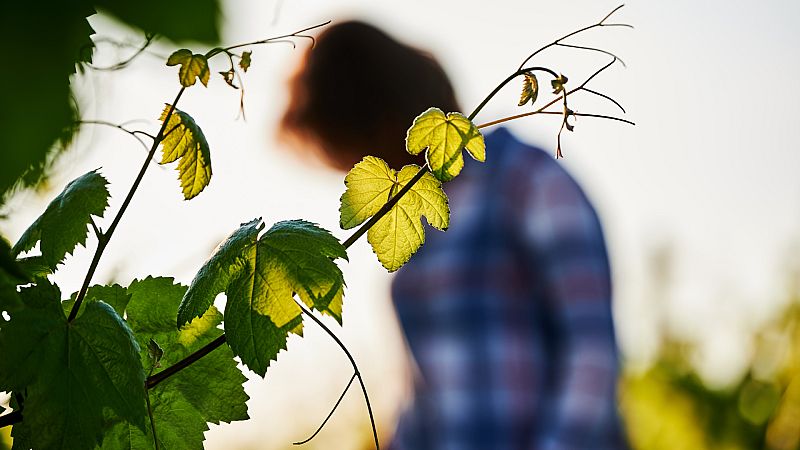 España a las 8 Fin de Semana - Foco España: Inserción laboral de personas en situación de vulnerabilidad de zonas rurales - Escuchar ahora