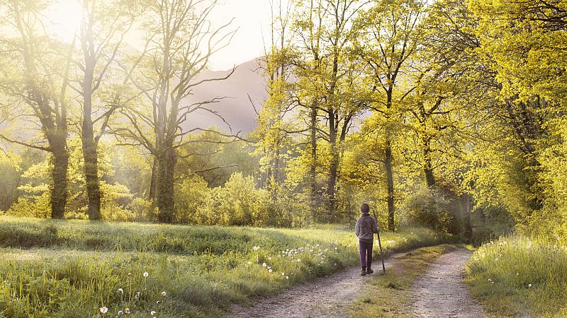 Cómo afecta la primavera a la salud - De vuelta en Radio 5 | Escuchar