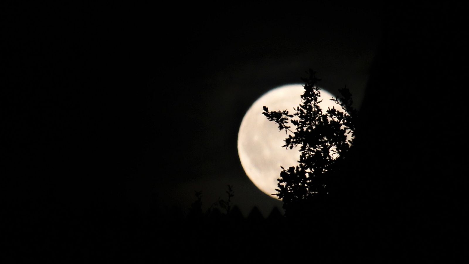 14 horas - Caza de brujas en Barcelona en 1620 - Escuchar ahora