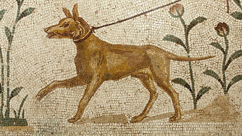 Por tres razones - Cómo ser un cínico de los buenos, según Eduardo Infante