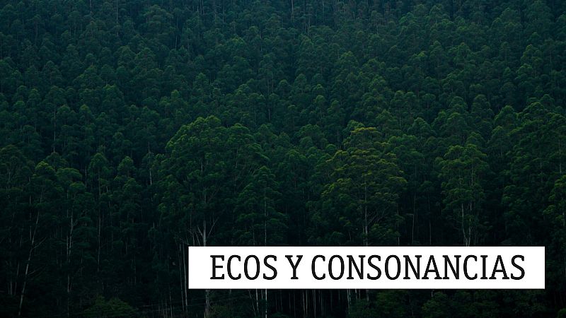 Ecos y consonancias - Dúos - 10/04/21