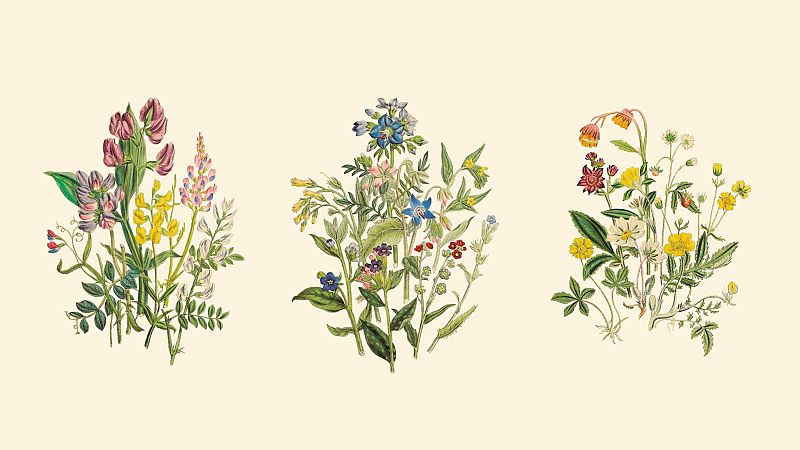 Las mañanas de RNE con Íñigo Alfonso - La moderna | Hogares - Escuchar ahora