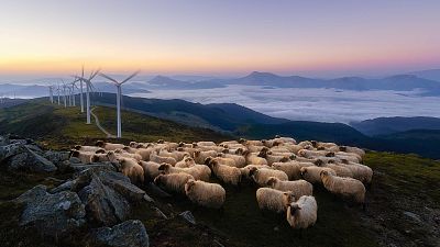 Espa�a a las 8 Fin de Semana.Foco Espa�a - Castell�n, Teruel y La Rioja - Escuchar ahora