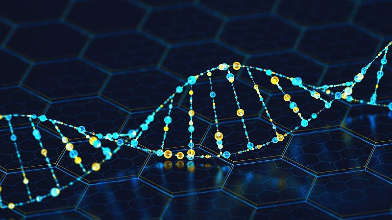 A hombros de gigantes - Genoma de los vertebrados; Magallanes y Elcano; Rodríguez Lafora; ciclo de las rocas; Luna de yeso; Marie van Brittan - 02/05/21