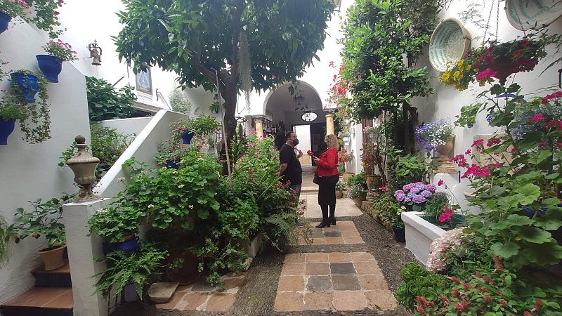 Más cerca - La fiesta de los patios de Córdoba celebra su centenario