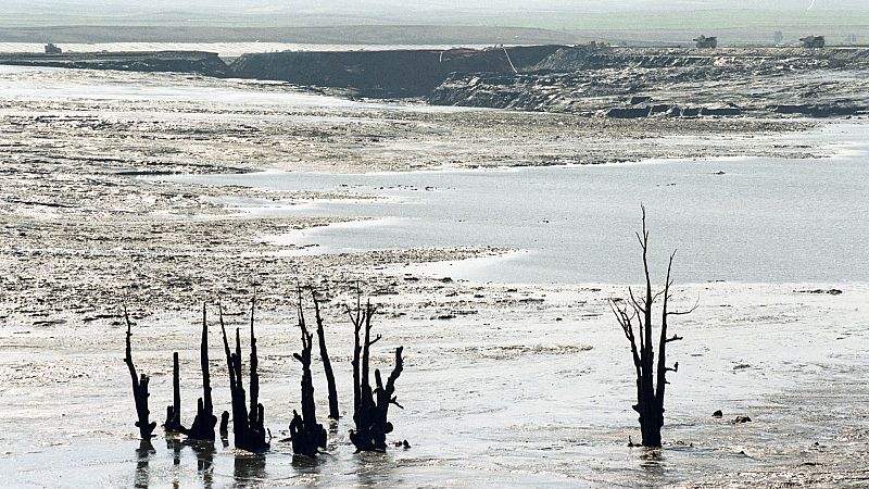 Crónica de Andalucía - La Junta negocia cobrar los gastos de limpieza de Aznalcóllar