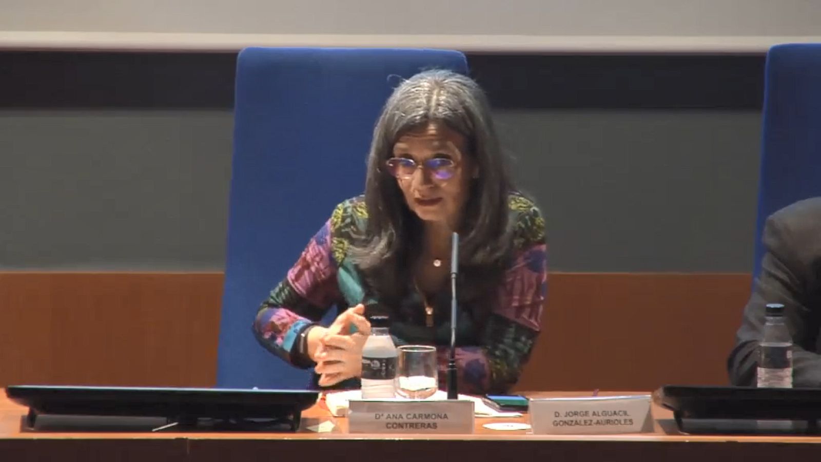 Ana María Carmona, catedràtica de Dret Constitucional