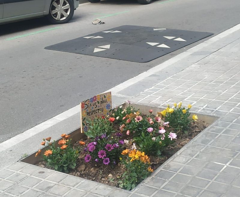 En Directe a Ràdio 4 - Vida Verda: Petits jardins als escocells dels arbres