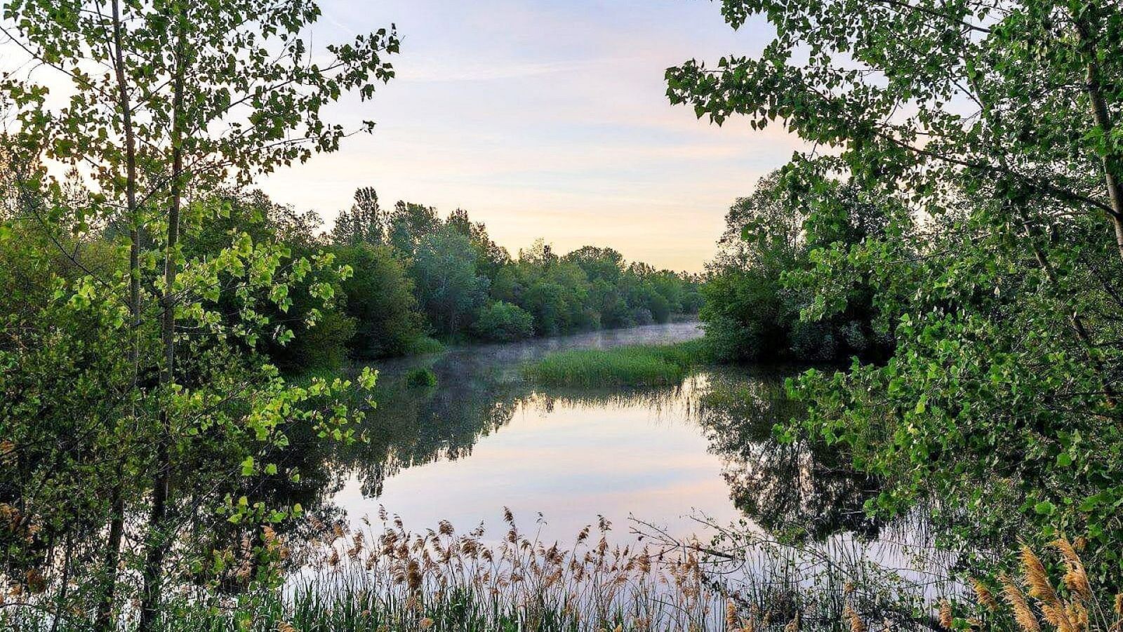El bosque habitado - Revivir los paisajes. Con Raúl de Tapia - 09/05/21 - escuchar ahora