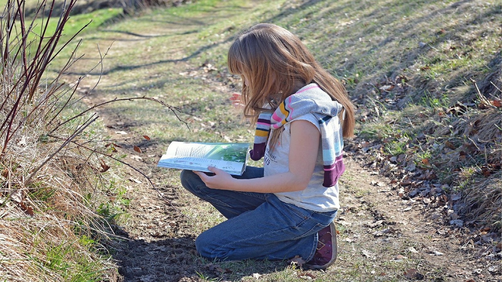 Reserva natural - Tiempo de romper las paredes del aula - 27/05/21 - Escuchar ahora