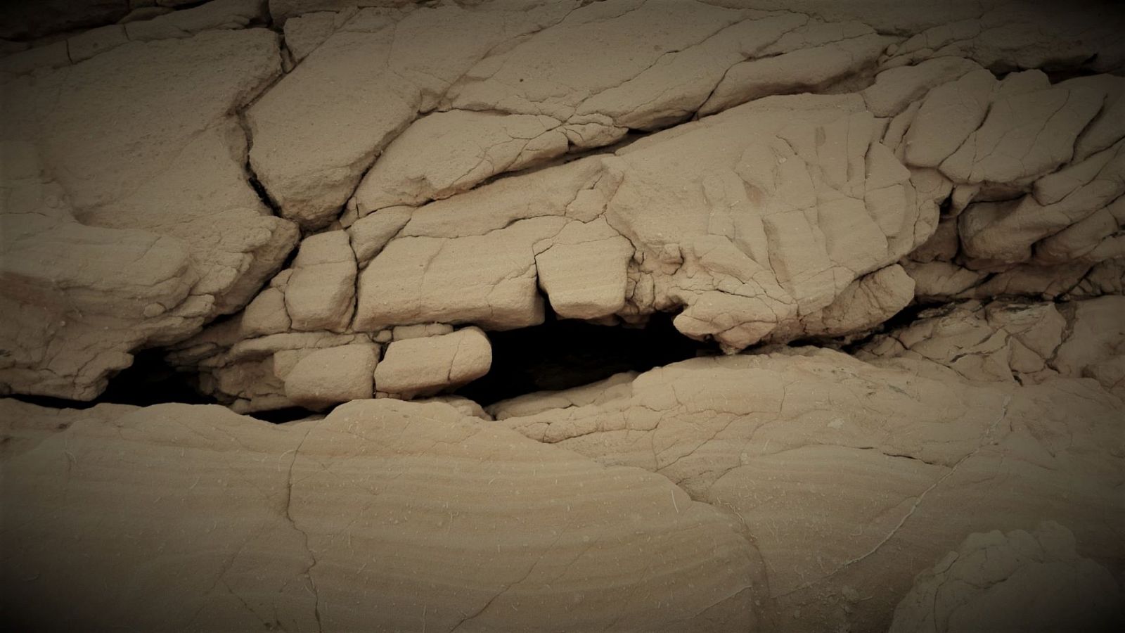 El bosque habitado - Cuatro educadoras por la belleza ambiental - 30/05/21 - escuchar ahora