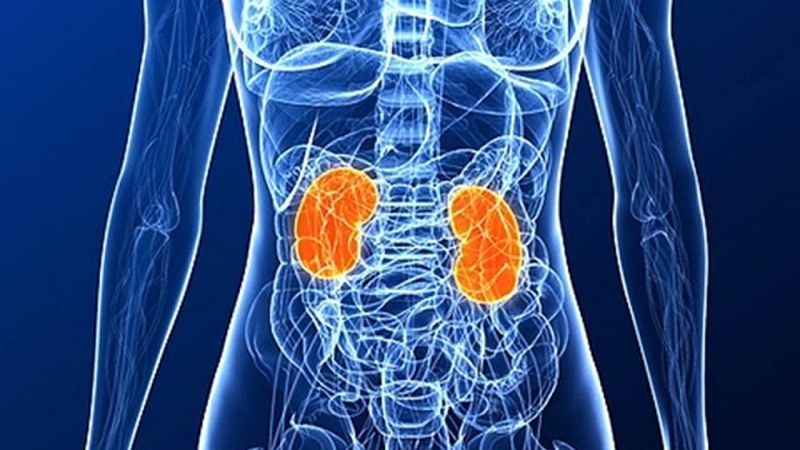 De boca a orella - La donació d'òrgans per part de persones vives