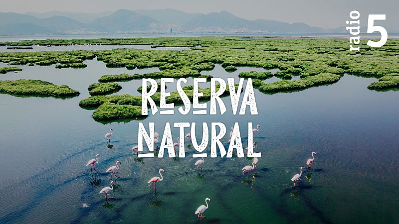 Reserva natural - 24/09/09 - Reserva natural
