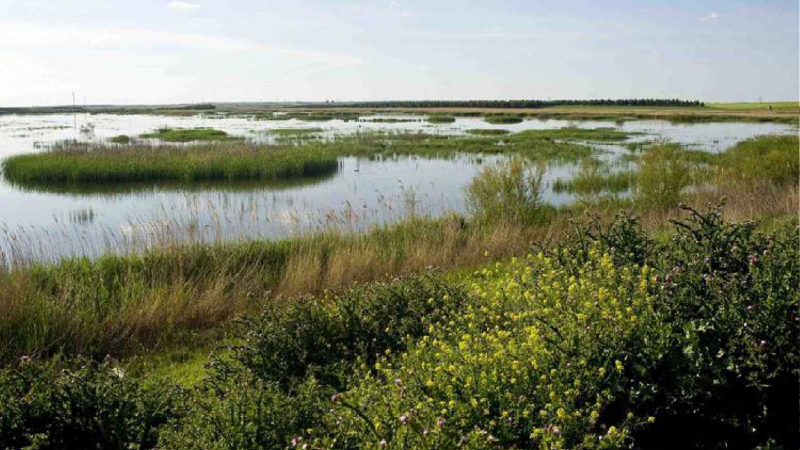 Caminantes - Lagunas de Alcázar de San Juan - 23/06/21